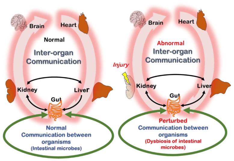 https://cdn.ncbi.nlm.nih.gov/pmc/blobs/e672/8953523/425e41f45c11/toxins-14-00221-g004.jpg