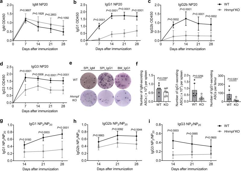 https://cdn.ncbi.nlm.nih.gov/pmc/blobs/e673/10063658/be69a9b00084/41467_2023_37308_Fig2_HTML.jpg