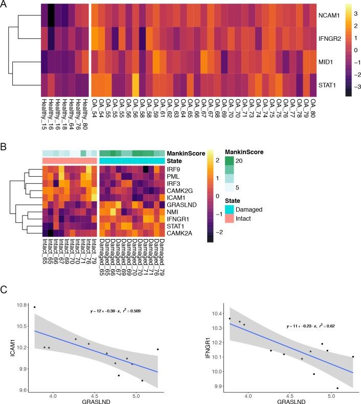https://cdn.ncbi.nlm.nih.gov/pmc/blobs/e673/7202894/e14e56de70a8/elife-49558-fig5-figsupp1.jpg