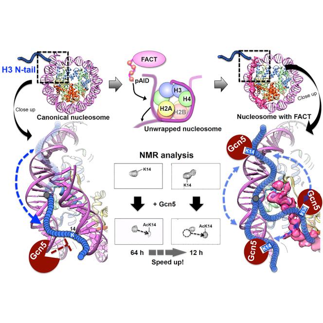 https://cdn.ncbi.nlm.nih.gov/pmc/blobs/e673/7569332/a979521e933f/fx1.jpg
