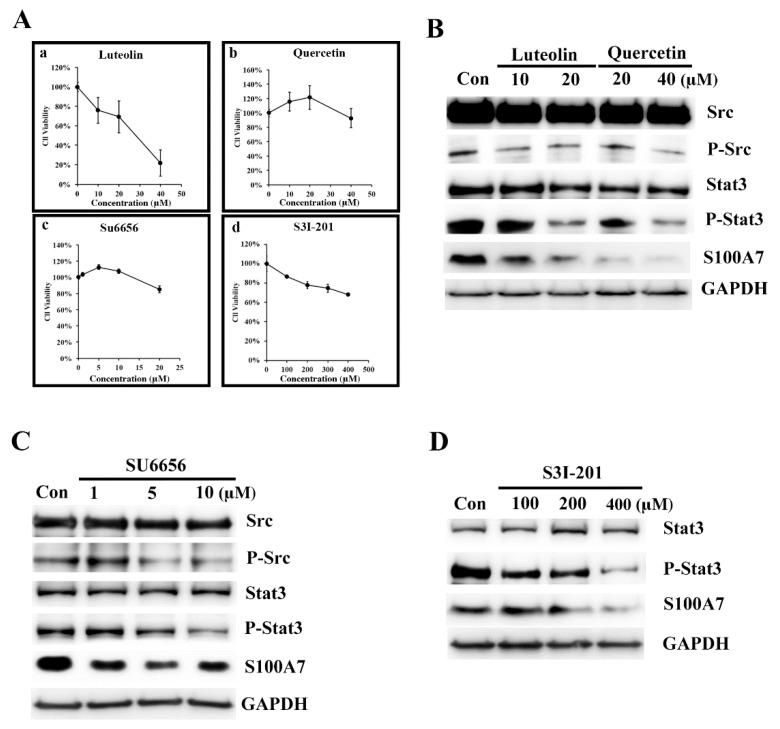 https://cdn.ncbi.nlm.nih.gov/pmc/blobs/e674/6912538/67eeae8ab82a/antioxidants-08-00557-g002.jpg