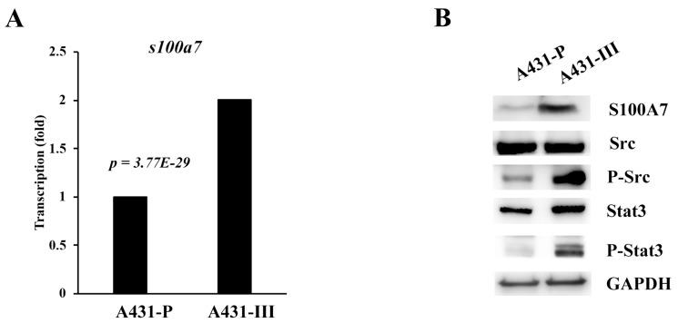 https://cdn.ncbi.nlm.nih.gov/pmc/blobs/e674/6912538/7c01d6aef70a/antioxidants-08-00557-g001.jpg