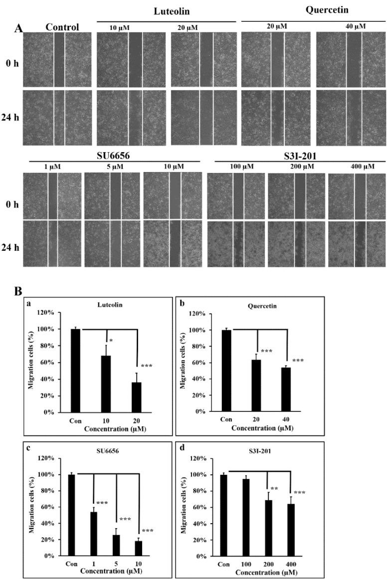 https://cdn.ncbi.nlm.nih.gov/pmc/blobs/e674/6912538/a3facc41a8cf/antioxidants-08-00557-g004.jpg