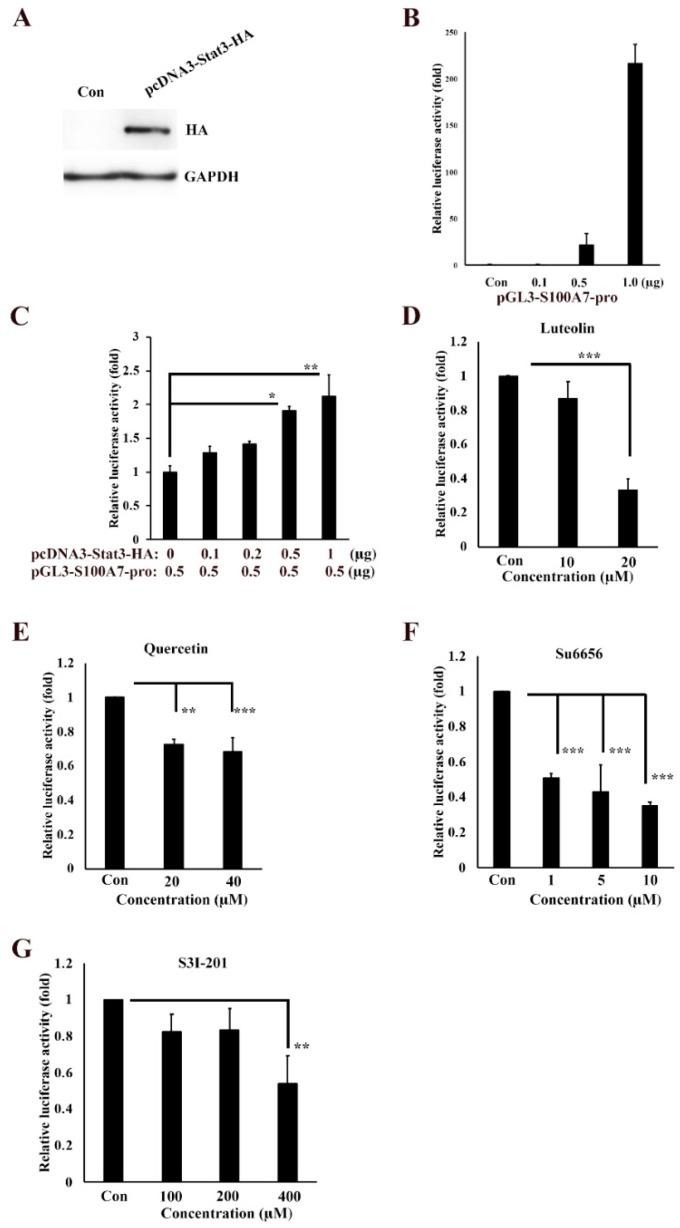 https://cdn.ncbi.nlm.nih.gov/pmc/blobs/e674/6912538/be72c73dd216/antioxidants-08-00557-g003.jpg