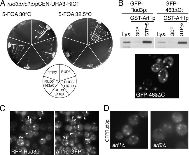 https://cdn.ncbi.nlm.nih.gov/pmc/blobs/e676/2172552/8d7e7f588e93/200407088f4.jpg