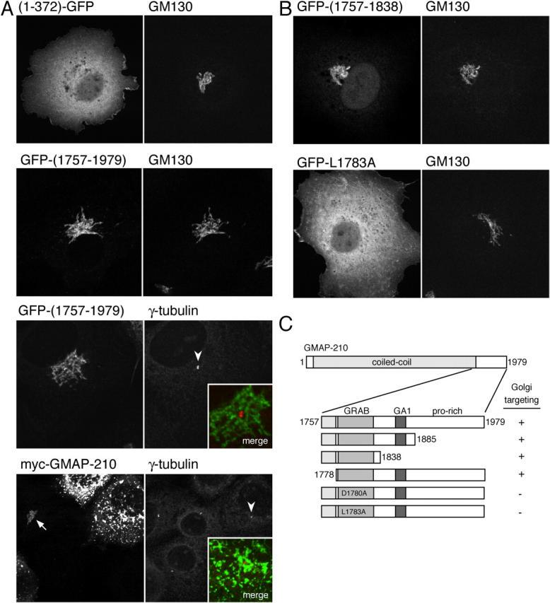https://cdn.ncbi.nlm.nih.gov/pmc/blobs/e676/2172552/dfdc64e65d22/200407088f7.jpg