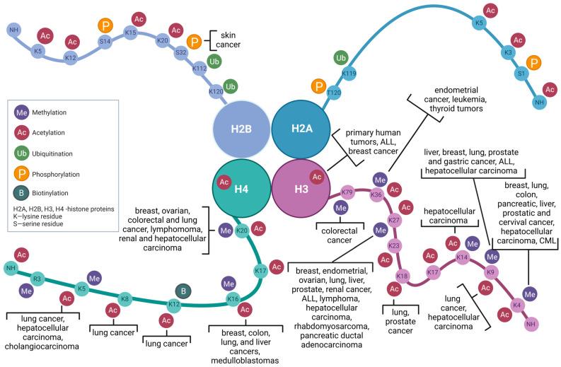 https://cdn.ncbi.nlm.nih.gov/pmc/blobs/e677/10669115/52429e91f5fe/biomolecules-13-01590-g001.jpg