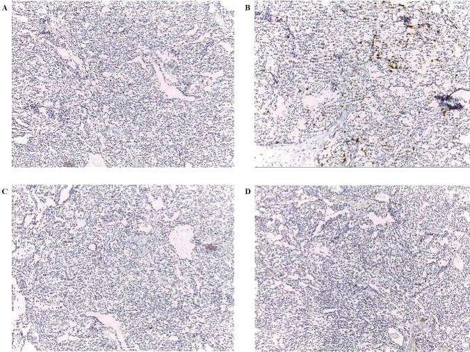 https://cdn.ncbi.nlm.nih.gov/pmc/blobs/e678/5688795/ada4aa10b5d2/ol-14-06-6485-g00.jpg