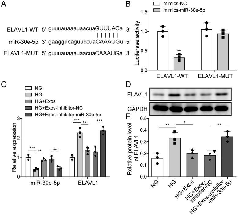 https://cdn.ncbi.nlm.nih.gov/pmc/blobs/e678/9937013/1474ce3186f9/IRNF_A_2177082_F0005_B.jpg