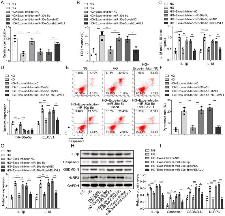 https://cdn.ncbi.nlm.nih.gov/pmc/blobs/e678/9937013/46db87a36979/IRNF_A_2177082_F0006_C.jpg