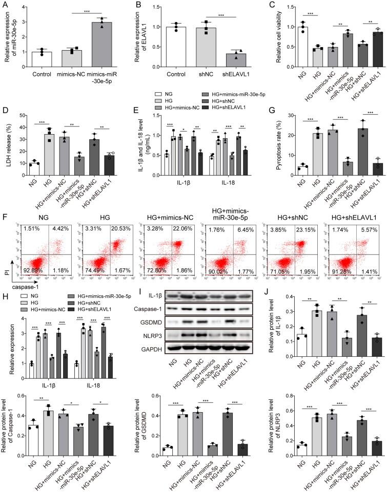 https://cdn.ncbi.nlm.nih.gov/pmc/blobs/e678/9937013/c606e9bd7851/IRNF_A_2177082_F0004_C.jpg