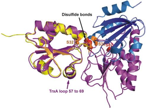https://cdn.ncbi.nlm.nih.gov/pmc/blobs/e67a/2896474/bf53b58c3fe5/gr4.jpg