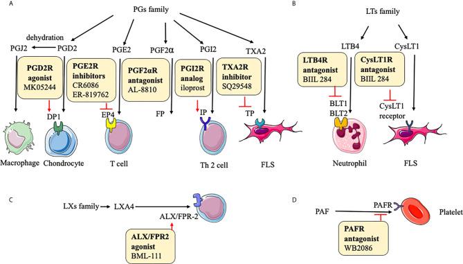 https://cdn.ncbi.nlm.nih.gov/pmc/blobs/e67b/8299711/38d2167856b7/fimmu-12-686155-g003.jpg