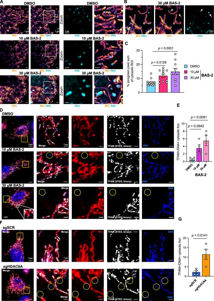 https://cdn.ncbi.nlm.nih.gov/pmc/blobs/e67c/12304134/3fd2d04fb72f/41467_2025_61897_Fig2_HTML.jpg