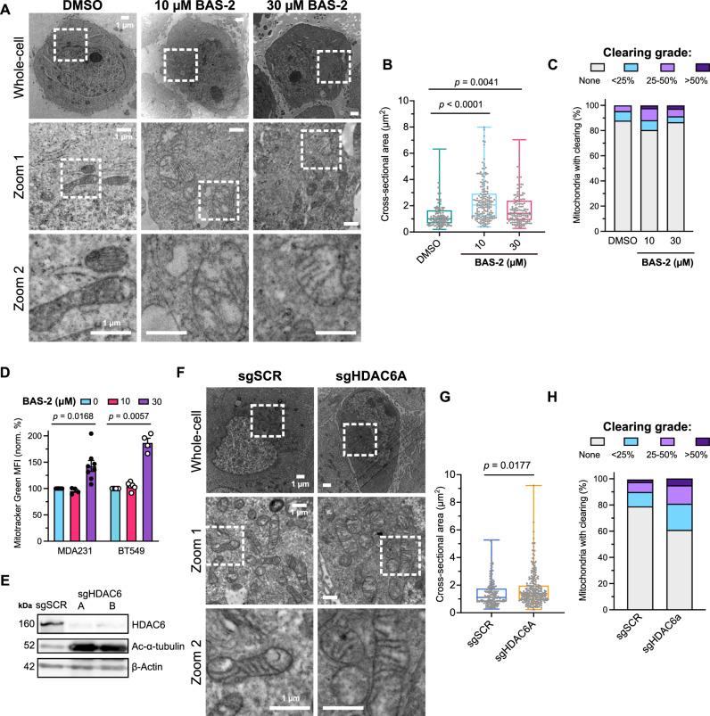 https://cdn.ncbi.nlm.nih.gov/pmc/blobs/e67c/12304134/479dc1037f3d/41467_2025_61897_Fig1_HTML.jpg