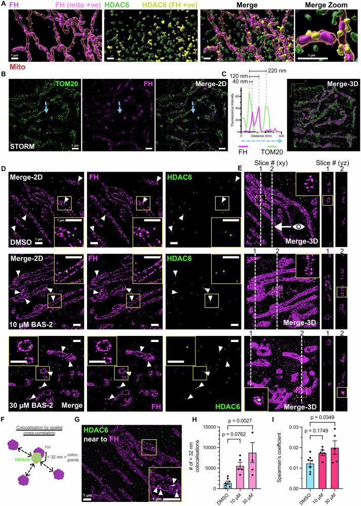 https://cdn.ncbi.nlm.nih.gov/pmc/blobs/e67c/12304134/681f52673275/41467_2025_61897_Fig6_HTML.jpg