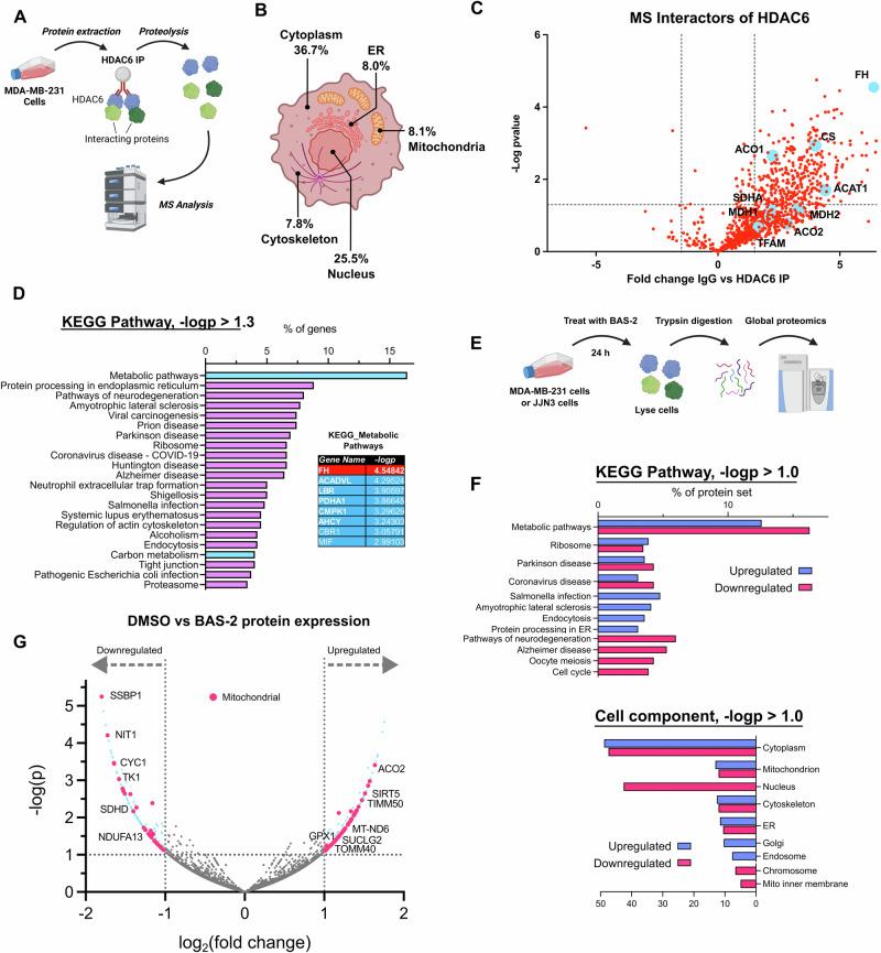 https://cdn.ncbi.nlm.nih.gov/pmc/blobs/e67c/12304134/711c31883fe6/41467_2025_61897_Fig4_HTML.jpg