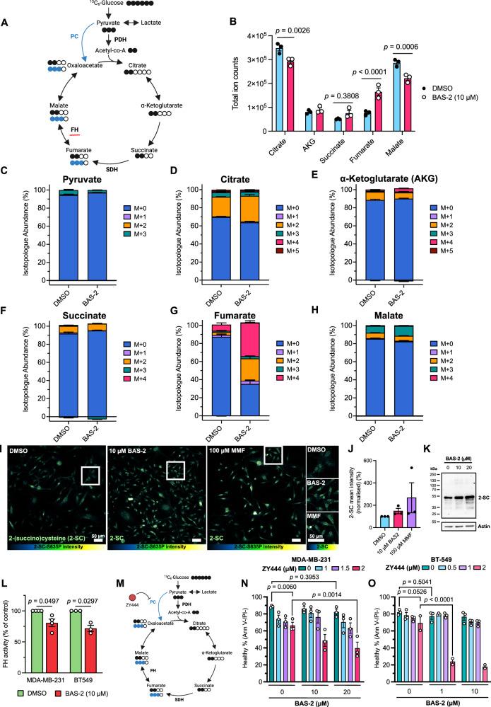 https://cdn.ncbi.nlm.nih.gov/pmc/blobs/e67c/12304134/c29e862c8d01/41467_2025_61897_Fig5_HTML.jpg