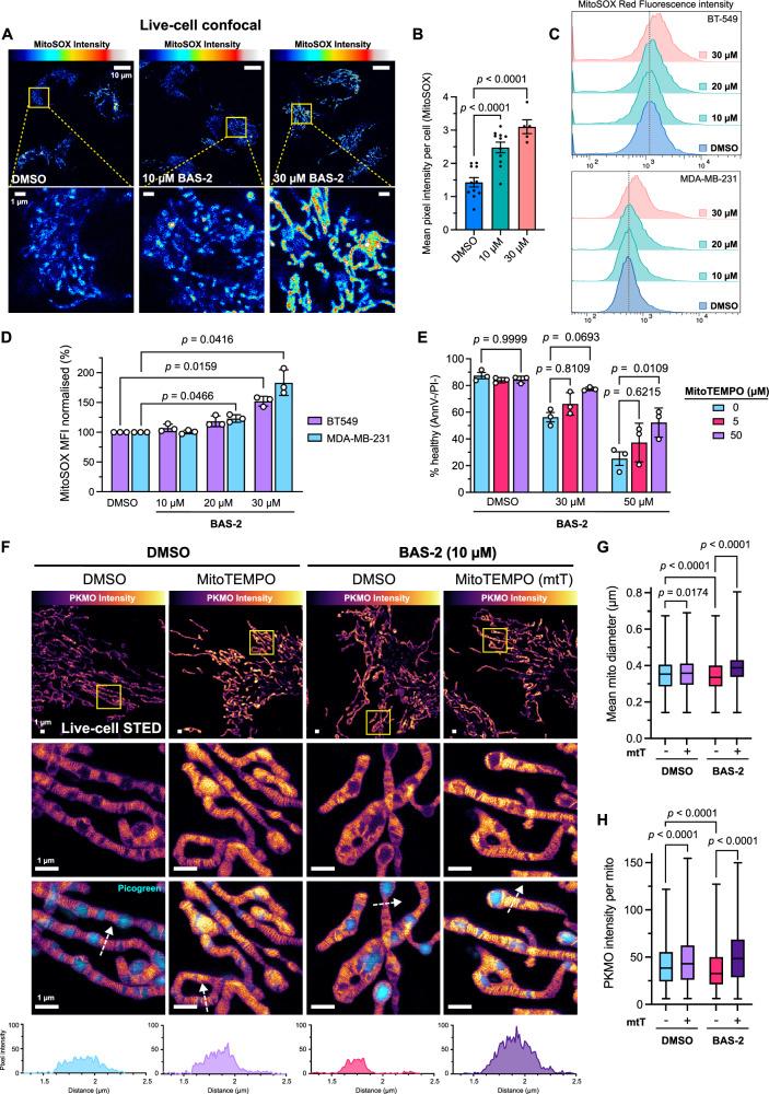 https://cdn.ncbi.nlm.nih.gov/pmc/blobs/e67c/12304134/e38b8761ba40/41467_2025_61897_Fig3_HTML.jpg