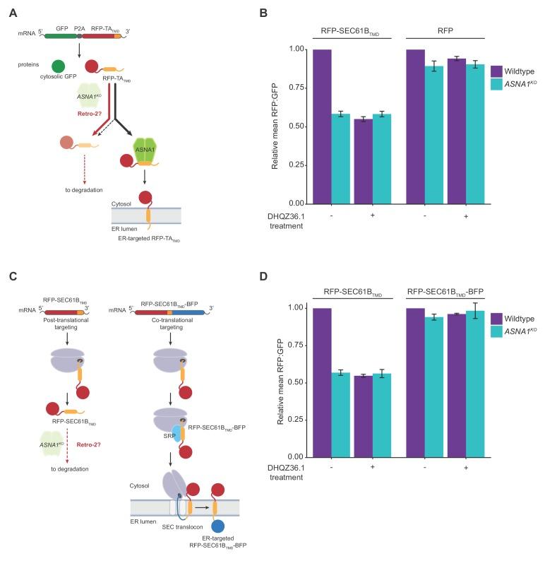 https://cdn.ncbi.nlm.nih.gov/pmc/blobs/e67d/6858068/3140b1ba7d44/elife-48434-fig2.jpg