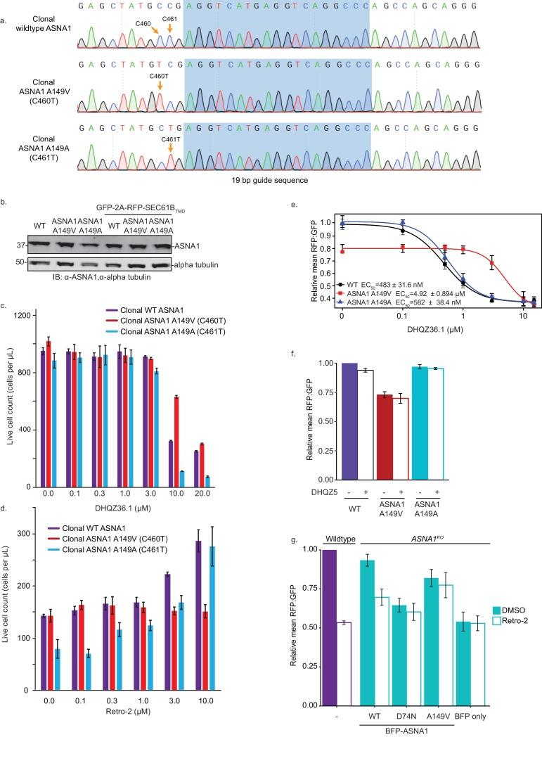 https://cdn.ncbi.nlm.nih.gov/pmc/blobs/e67d/6858068/9e7e23bc10ee/elife-48434-fig4-figsupp2.jpg