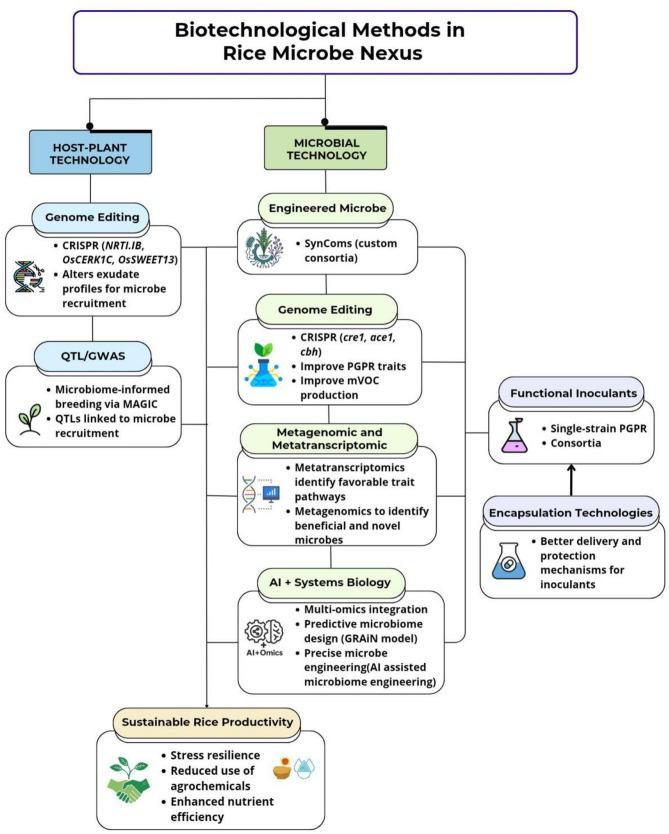 https://cdn.ncbi.nlm.nih.gov/pmc/blobs/e67f/12181497/3b4efa23a45c/12284_2025_809_Fig4_HTML.jpg