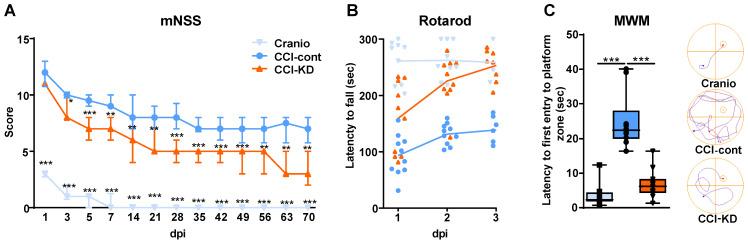 https://cdn.ncbi.nlm.nih.gov/pmc/blobs/e680/7681084/ae7944b771de/thnov11p0346g001.jpg