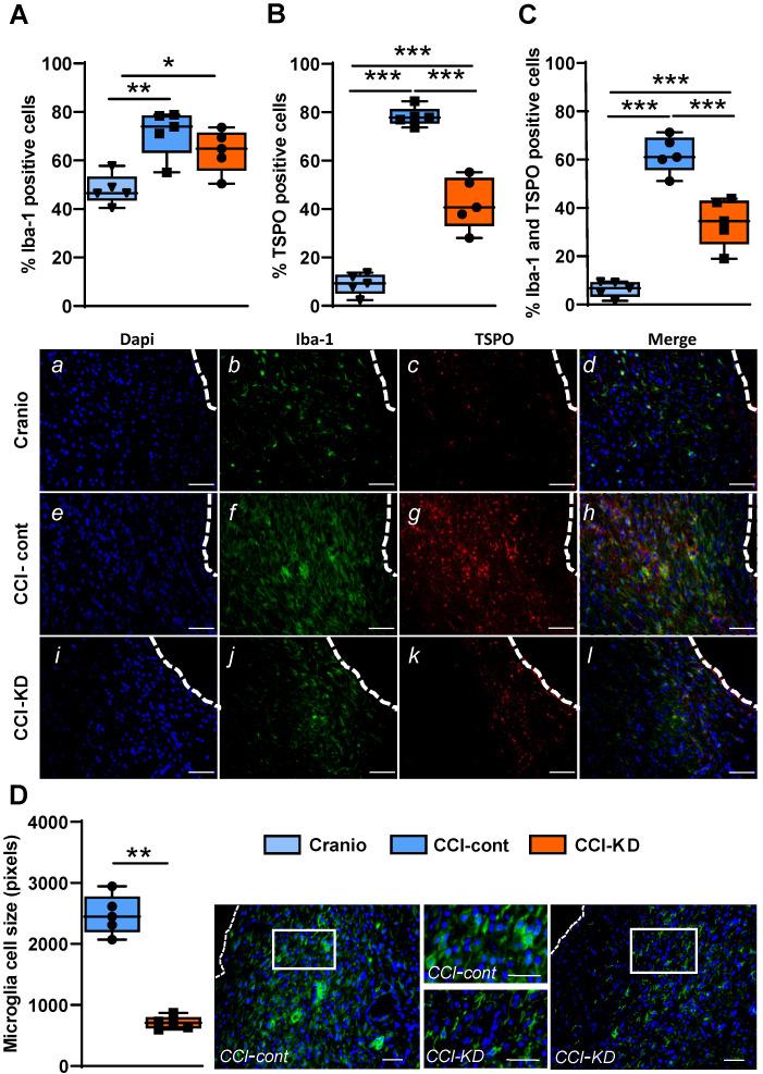 https://cdn.ncbi.nlm.nih.gov/pmc/blobs/e680/7681084/b39966821eb3/thnov11p0346g004.jpg