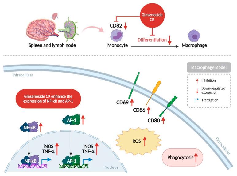 https://cdn.ncbi.nlm.nih.gov/pmc/blobs/e681/12110123/1ca2abc86dba/diseases-13-00143-g009.jpg