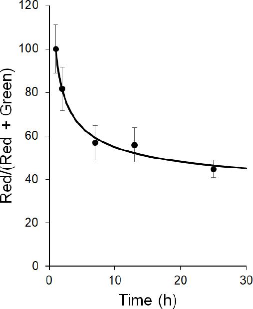 https://cdn.ncbi.nlm.nih.gov/pmc/blobs/e682/9019189/15ea47818aae/cdr-4-223.fig.4.jpg