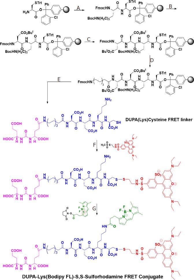 https://cdn.ncbi.nlm.nih.gov/pmc/blobs/e682/9019189/d8d92c4cfab5/cdr-4-223.fig.2.jpg