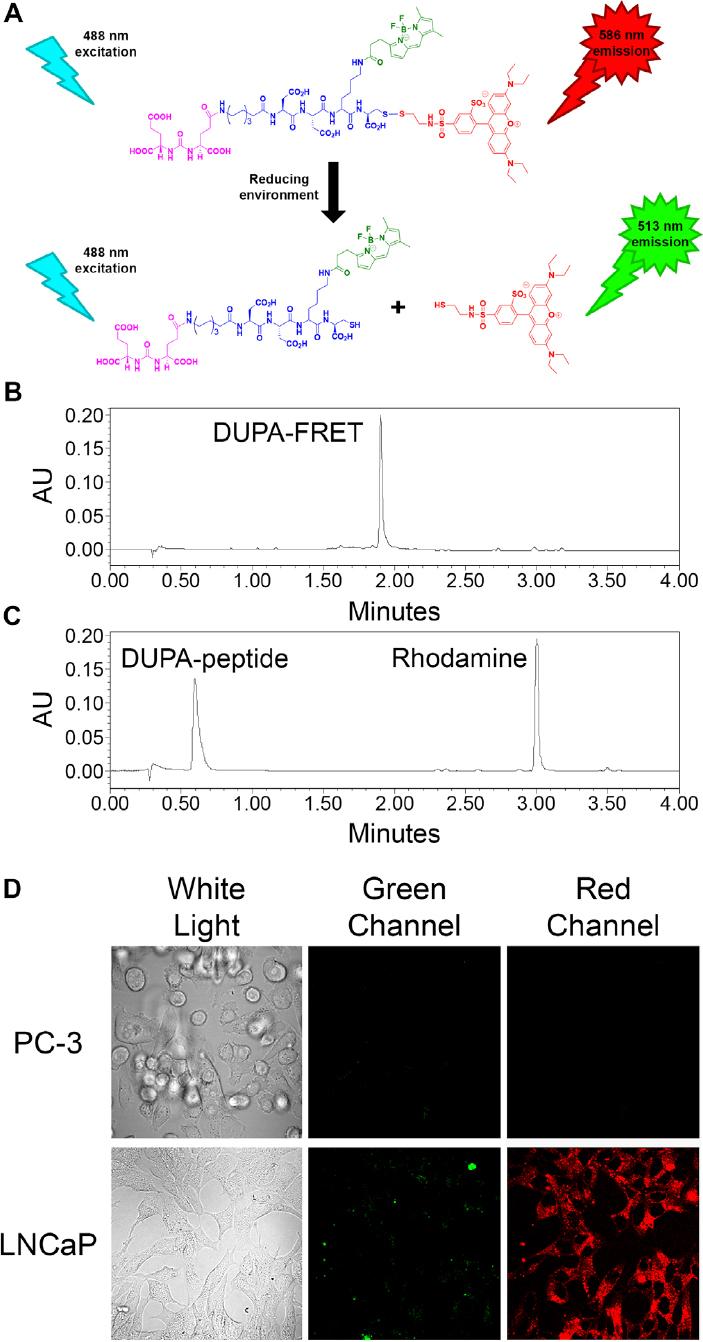 https://cdn.ncbi.nlm.nih.gov/pmc/blobs/e682/9019189/efd185ab5b65/cdr-4-223.fig.1.jpg