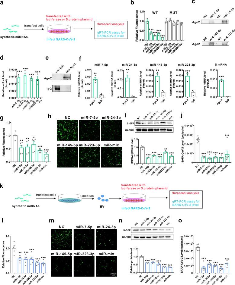https://cdn.ncbi.nlm.nih.gov/pmc/blobs/e683/8357805/32ce3e338735/41392_2021_716_Fig2_HTML.jpg