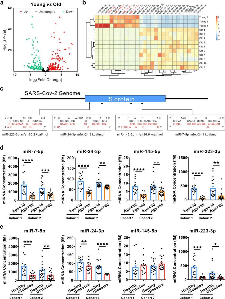 https://cdn.ncbi.nlm.nih.gov/pmc/blobs/e683/8357805/959c72db68e0/41392_2021_716_Fig1_HTML.jpg