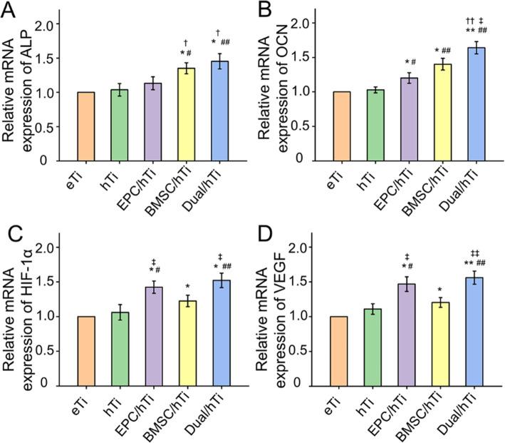 https://cdn.ncbi.nlm.nih.gov/pmc/blobs/e684/8401189/359a576bdfb0/12891_2021_4617_Fig5_HTML.jpg