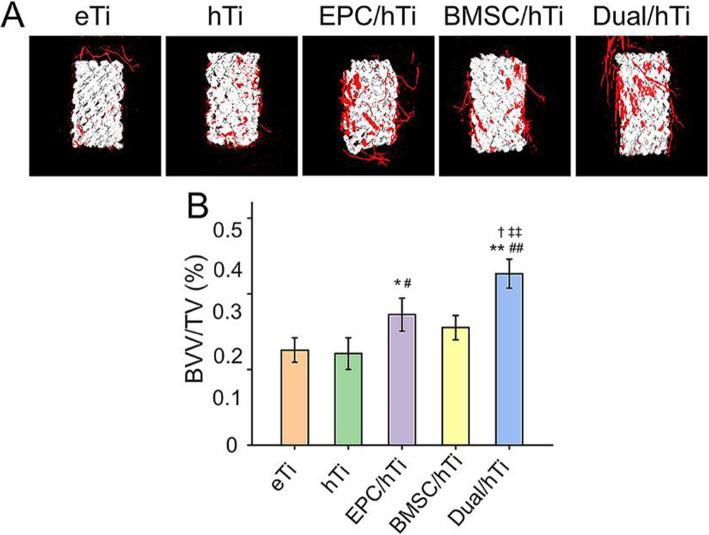 https://cdn.ncbi.nlm.nih.gov/pmc/blobs/e684/8401189/5d370fd331a9/12891_2021_4617_Fig4_HTML.jpg