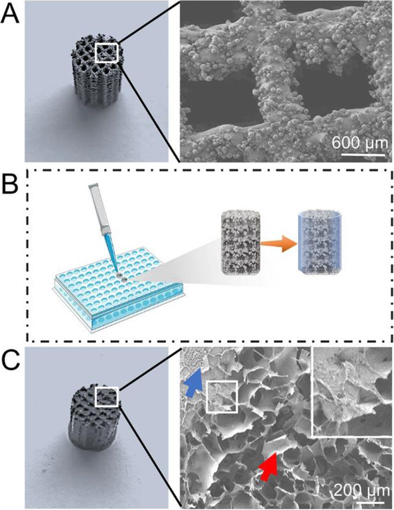 https://cdn.ncbi.nlm.nih.gov/pmc/blobs/e684/8401189/abaa4337b336/12891_2021_4617_Fig1_HTML.jpg
