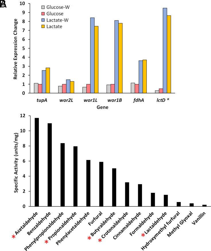 https://cdn.ncbi.nlm.nih.gov/pmc/blobs/e686/11725836/ed39a2f23145/pnas.2411809121fig04.jpg