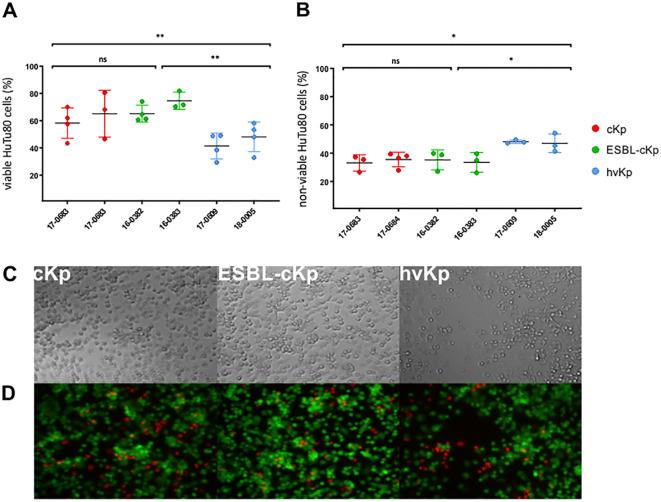 https://cdn.ncbi.nlm.nih.gov/pmc/blobs/e686/11868097/dfd2ab343305/fcimb-15-1522573-g007.jpg