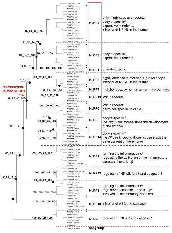 https://cdn.ncbi.nlm.nih.gov/pmc/blobs/e686/2735741/77439a2299de/1471-2148-9-202-1.jpg
