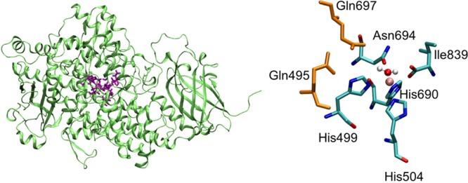 https://cdn.ncbi.nlm.nih.gov/pmc/blobs/e688/5117133/da729b93d554/jz-2016-016265_0003.jpg