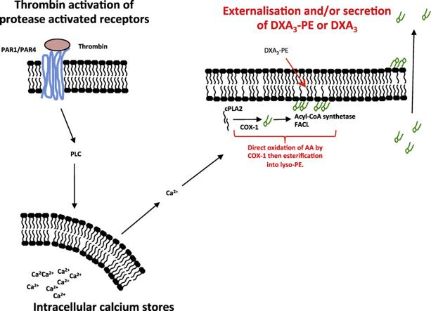 https://cdn.ncbi.nlm.nih.gov/pmc/blobs/e68a/5288459/54facd167def/fx1.jpg