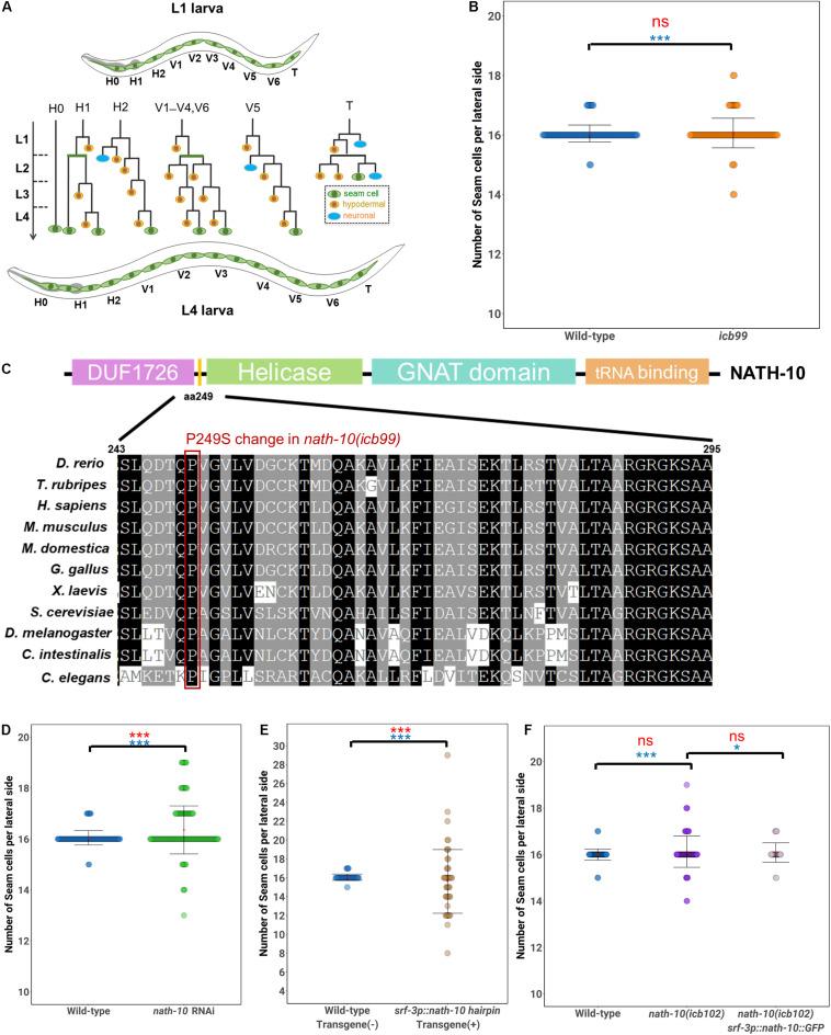 https://cdn.ncbi.nlm.nih.gov/pmc/blobs/e68a/8168469/c9365f1a21cb/fcell-09-640856-g001.jpg