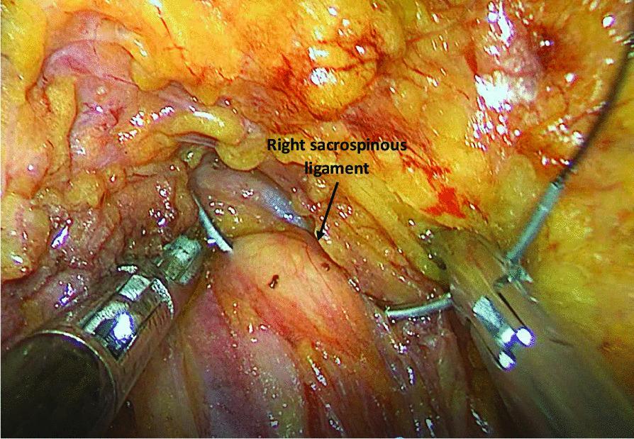 https://cdn.ncbi.nlm.nih.gov/pmc/blobs/e68a/9883968/a1768ab60754/12893_2023_1921_Fig1_HTML.jpg