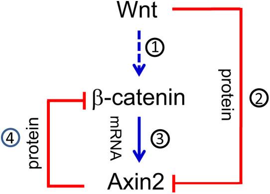https://cdn.ncbi.nlm.nih.gov/pmc/blobs/e68b/8892335/3b3f6fffabd8/pnas.2108408119fig04.jpg