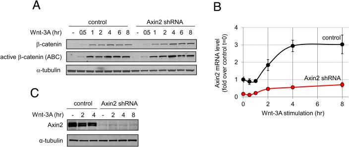 https://cdn.ncbi.nlm.nih.gov/pmc/blobs/e68b/8892335/76072a324a47/pnas.2108408119fig01.jpg