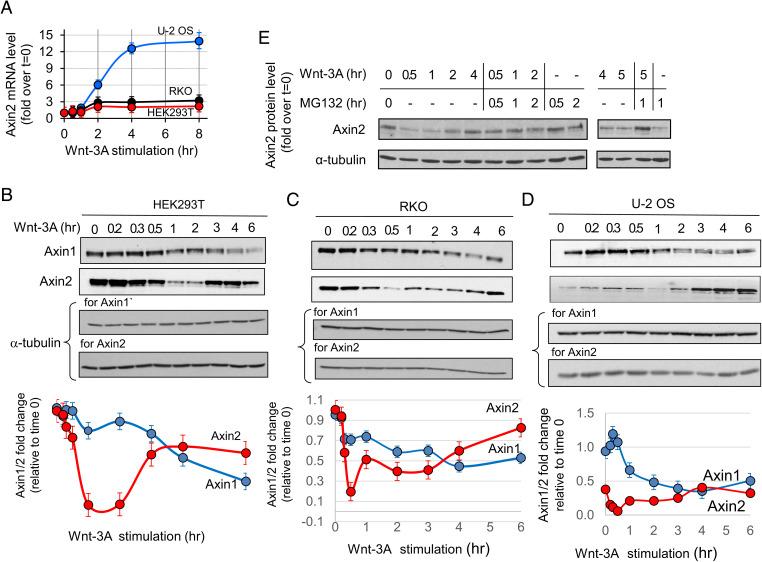 https://cdn.ncbi.nlm.nih.gov/pmc/blobs/e68b/8892335/e274241c9e26/pnas.2108408119fig02.jpg