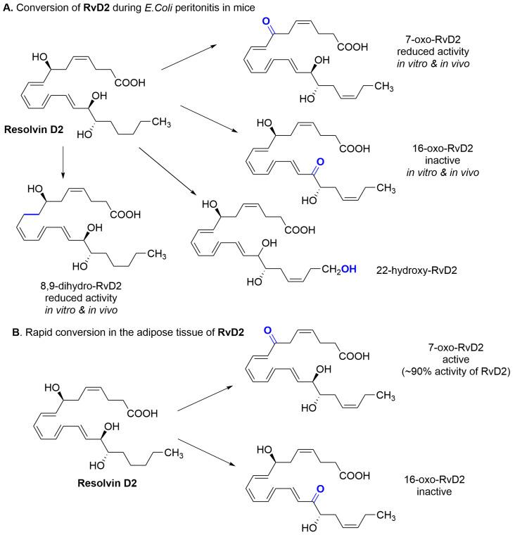https://cdn.ncbi.nlm.nih.gov/pmc/blobs/e68c/10976181/6fe0c5d76646/molecules-29-01258-g004.jpg