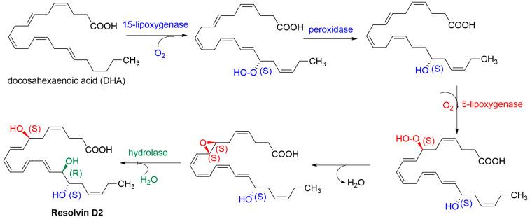 https://cdn.ncbi.nlm.nih.gov/pmc/blobs/e68c/10976181/8451f04a5ee9/molecules-29-01258-g002.jpg