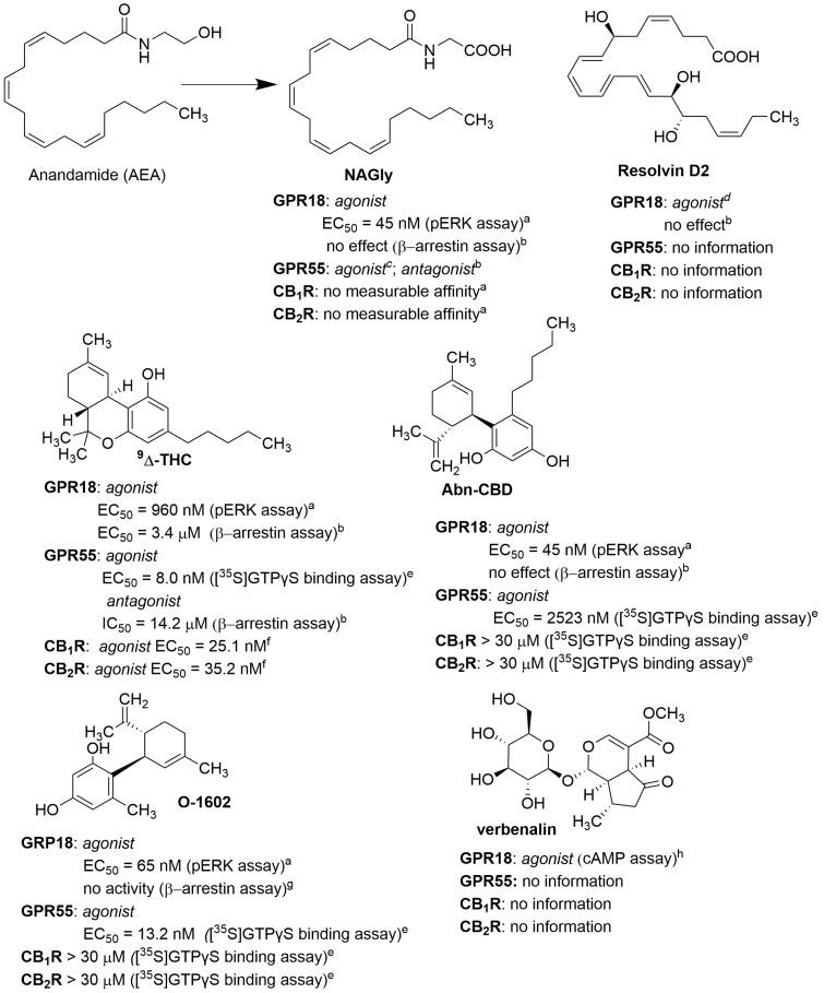 https://cdn.ncbi.nlm.nih.gov/pmc/blobs/e68c/10976181/e5eeb5037cce/molecules-29-01258-g001.jpg